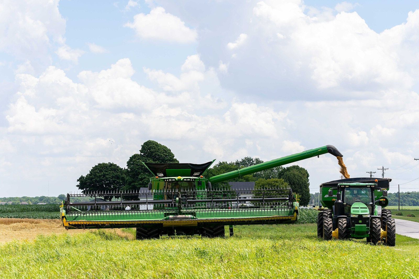 A combine harvesting wheat in Indiana