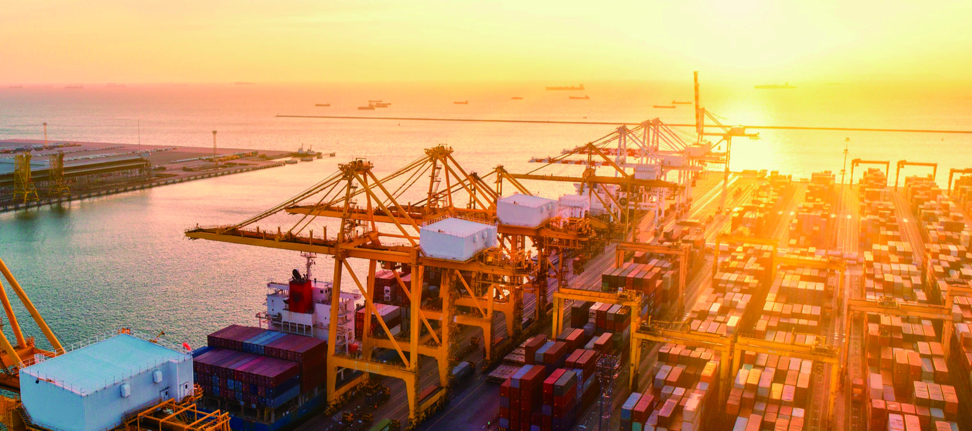 Customs Misclassification Penalties: The Hidden P&L Risk for UK Importers